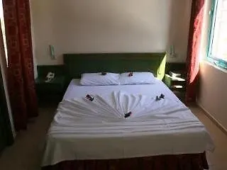 Elit Garden Apart 3* シダ